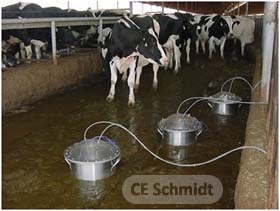 measuring voc and ammonia emissions